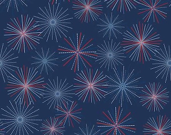 Remnant 2/3-Yard Picadilly Main Navy Fabric Yardage, Riley Blake Designs, Amanda Castor, Cotton Quilt Fabric
