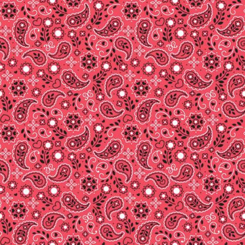 18 Pieces Farm Fabric Down on the Farm Fat Quarter Bundle Precut Cotton Quilt Fabric Doodlebug Riley Blake Designs