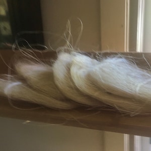 Agave Fiber Scrub Pad set (5) natural fiber from Oaxaca mezcal production