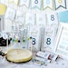 Baptism Preview Kit It's Great to Be 8 Printables LDS Baptism Printable ...