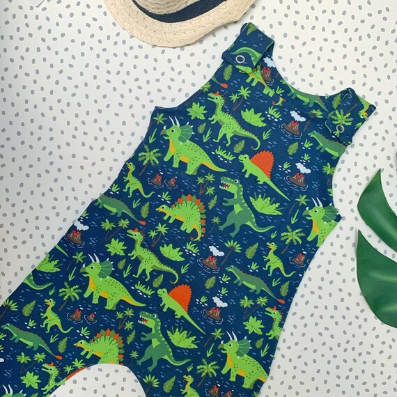 baby dinosaur dungarees