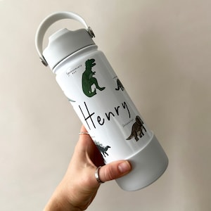 Gourde personnalisée isotherme et réutilisable pour les amateurs de dinosaures, 18 oz/500 ml - École - Crèche - Camping - Voyage