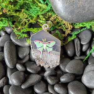 Luna Moth Amethyst Pendant - Etsy Luna Moth Amethyst Pendant - Etsy
