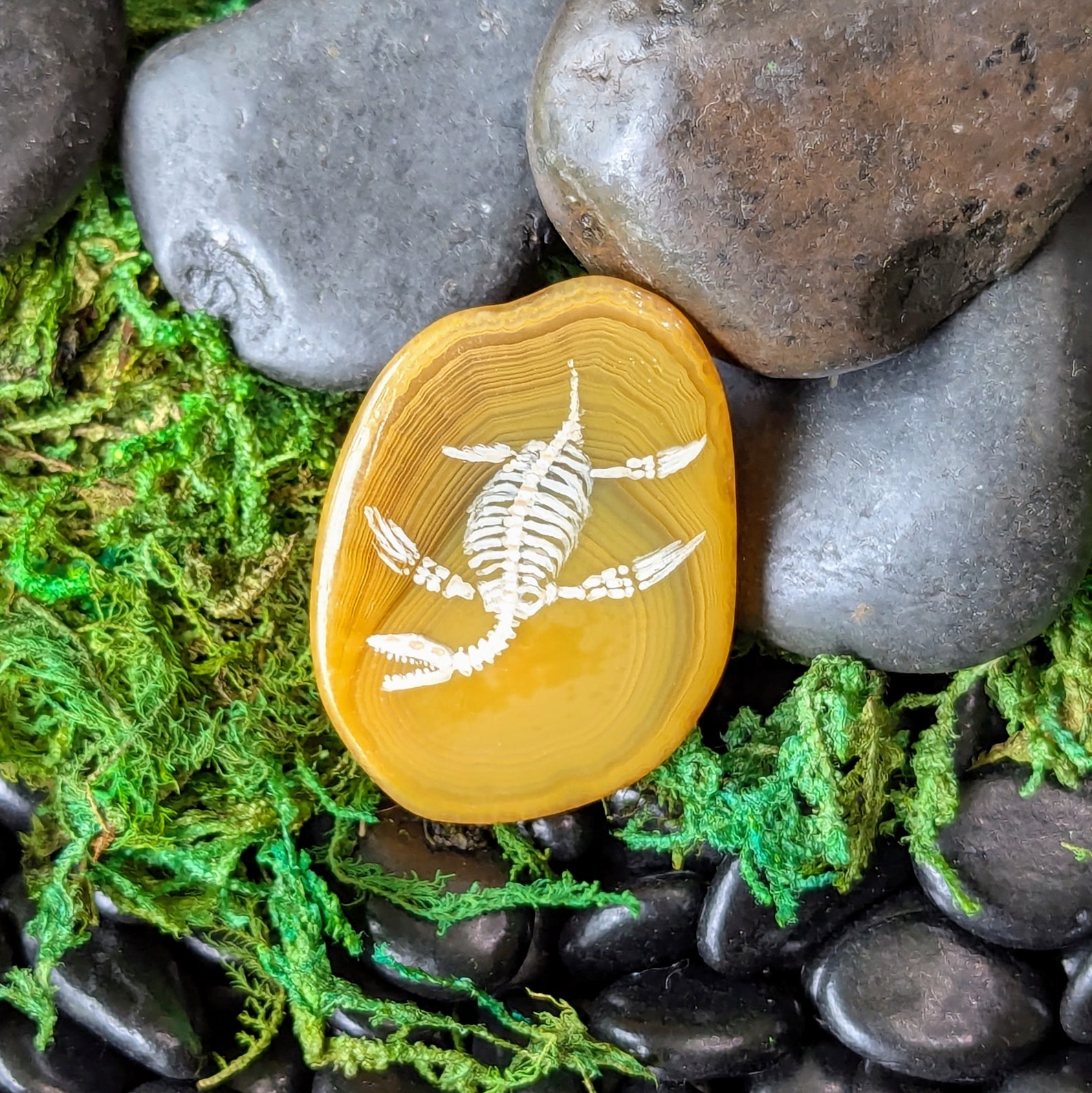 Plesiosaur Skeleton Lapel Pin - Etsy