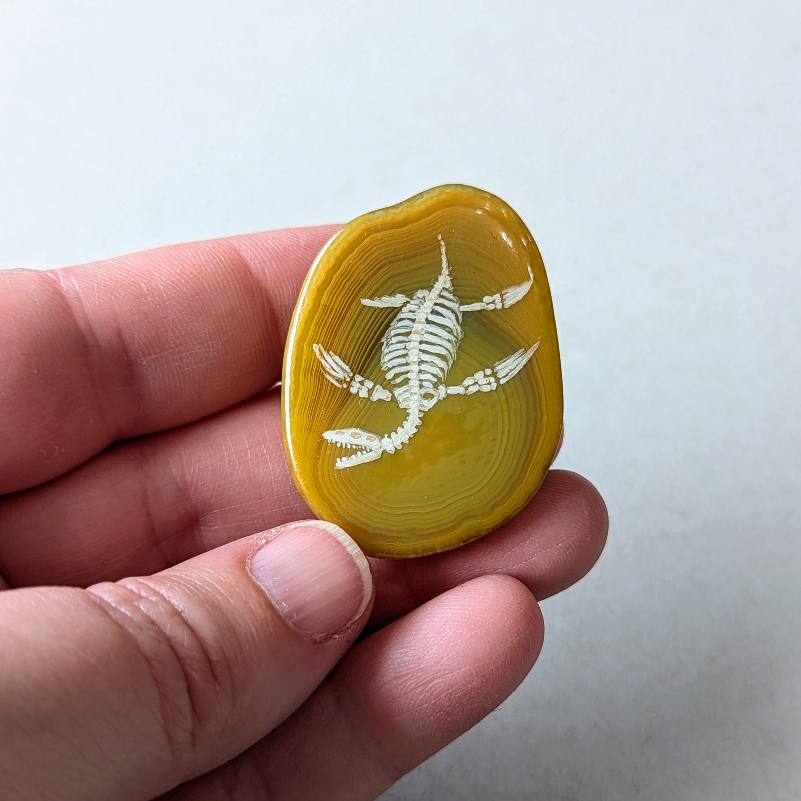 Plesiosaur Skeleton Lapel Pin - Etsy