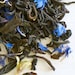 see more listings in the Black Tea section