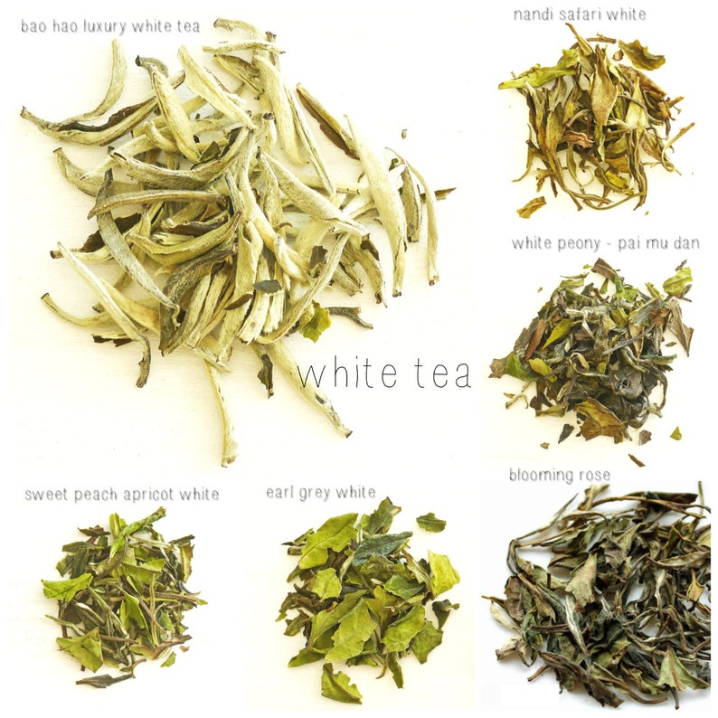 Loose Leaf Tea Sampler 10 Tea Filters You Pick 6 Organic Etsy