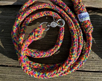 Rainbow paracord dog leash