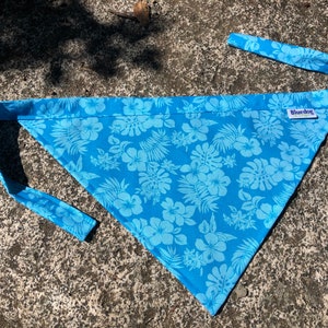 Blue Aloha floral print dog bandana