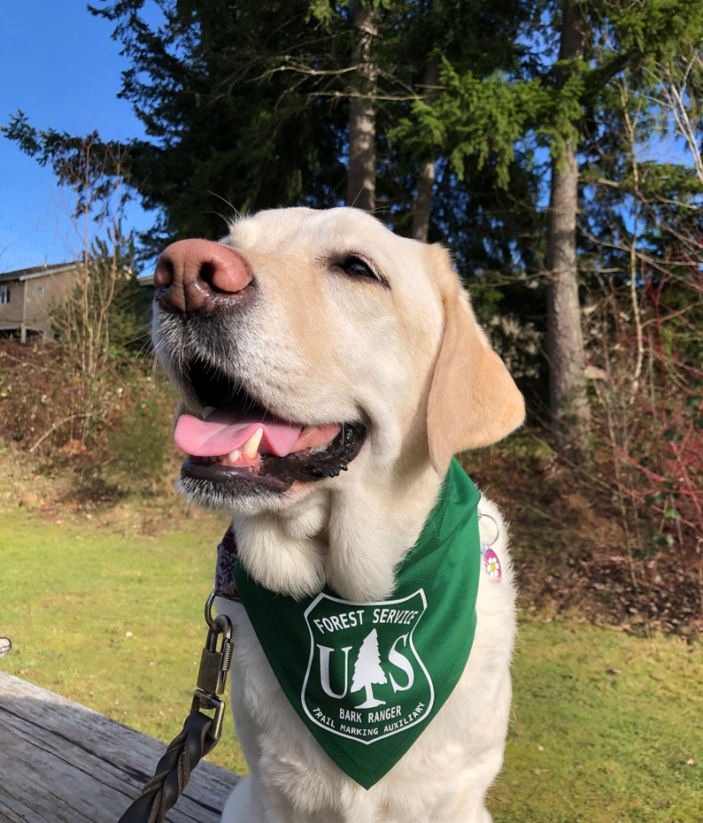 Forest Ranger dog bandana image 4