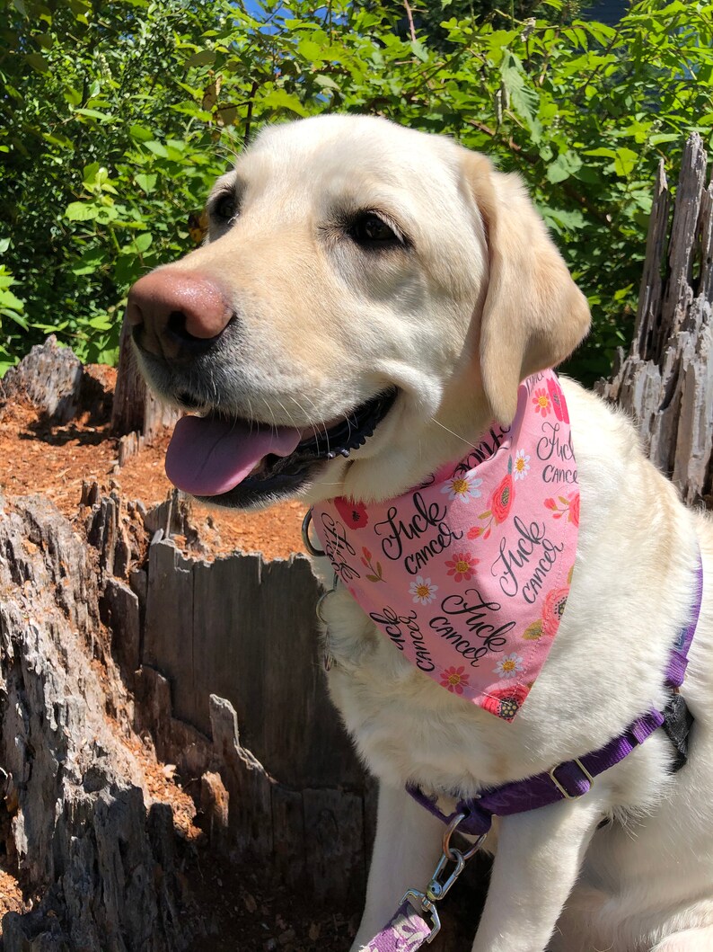 Cancer dog bandana image 2