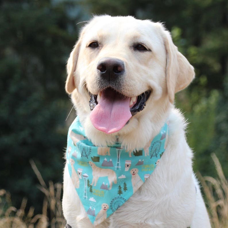 Golden Retriever in Seattle Dog Bandana Etsy