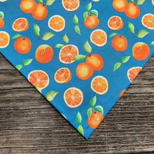 Oranges dog bandana
