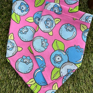 Blueberries dog bandana image 1