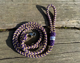 Huskies paracord dog leash