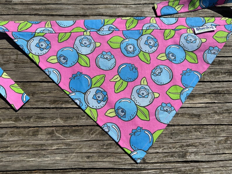 Blueberries dog bandana image 4