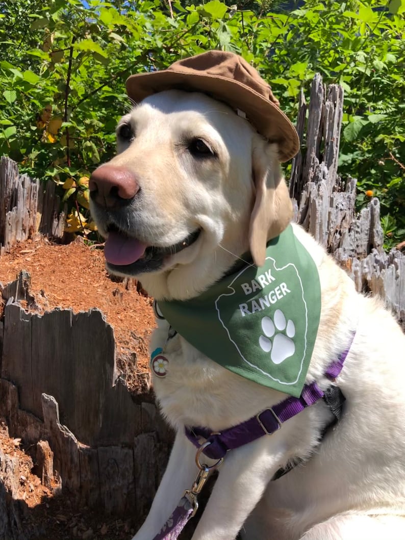 Bark Ranger dog bandana image 8