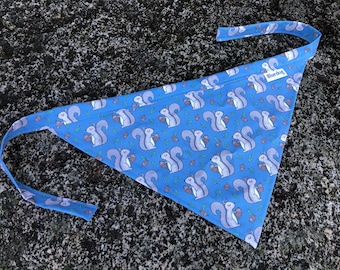 Squirrel dog bandana