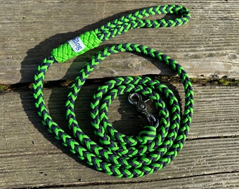 Seahawks paracord dog leash