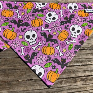 Skull and pumpkin print dog bandana