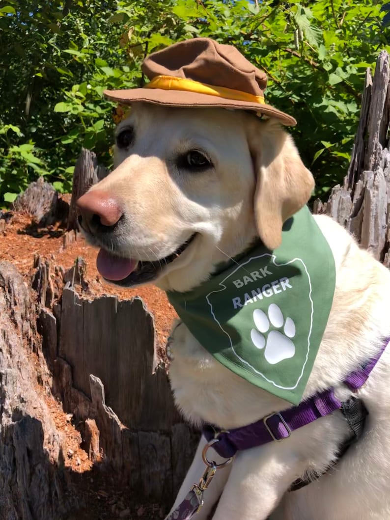 Bark Ranger dog bandana image 3