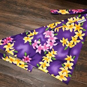 Hawaiian plumeria Joan print dog bandana