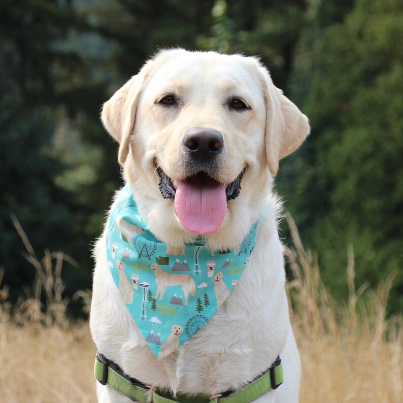 Golden Retriever In Seattle Dog Bandana Pet Clothing Accessories Shoes Pet Supplies Kromasol Com