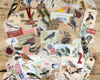 Vintage bird ephemera pack - bird ephemera kit - junk journal kit - collage & mixed media kit