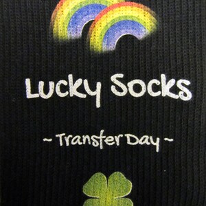 May include: Black socks with a white graphic of two rainbows and the text "Lucky Socks - Transfer Day -" with a green four-leaf clover below.