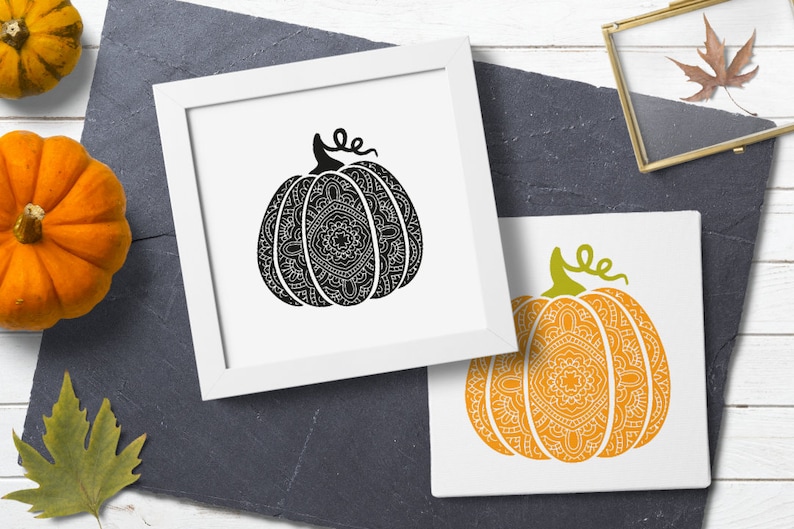 Scroll pumpkin svg. Bohemian fancy pumpkin. Thanksgiving | Etsy