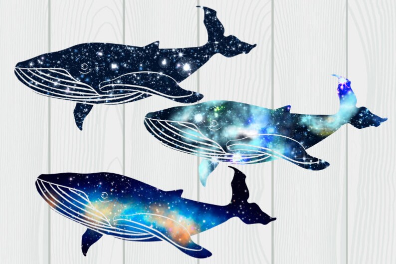 6 Galaxy whales clipart. Space whale digital stickers. Etsy