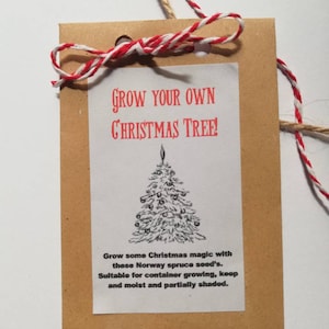 Grow your own Christmas tree, Christmas tree gift, Stocking filler, Vegan Christmas, Christmas tree seed packet, Christmas gift, Christmas.