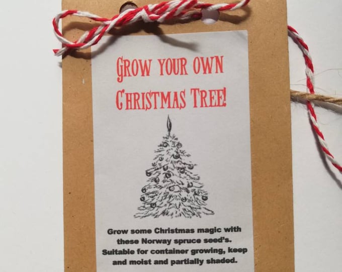 Grow Your Own Christmas Tree Christmas Tree Gift Stocking Etsy UK