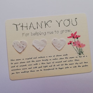 Teacher thank you gift, end of year gift, thank you gift, vegan gift, teacher leaving gift, nursery leaving gift, leaving college gift.