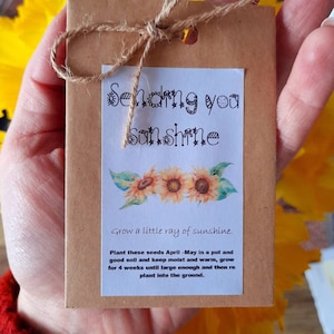 Sunflower seed packet,mothers day gift, Send a gift, Baby shower seeds, Easter gift for kids, Easter flowers, Alternative favour.