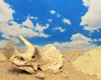 Desert Diorama | Dinosaur Skull | Desk / Shelf Display Art | Handmade Skeleton Dinosaur Dig Site Ornament| Bones | Gift