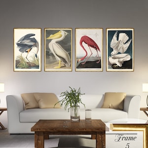 Audubon birds prints set, Audubon canvas prints, Set of Birds Art
