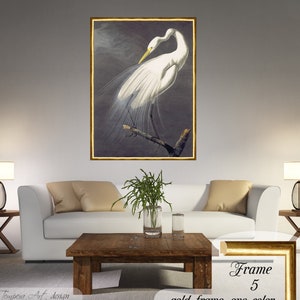John James Audubon, Audubon Egret Print, Audubon Canvas, Audubon Egret Art