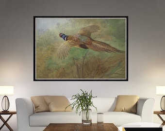 Archibald Thorburn Pheasant Canvas Print: Framed Bird Art