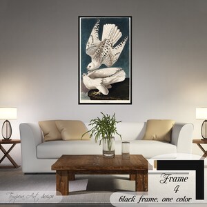 Two White Gyrfalcons, Audubon Print, Audubon Gyrfalcons