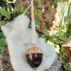 Op de afbeelding: Een handgemaakte houten drop-spindel met een donkerbruine eikelvormige wirtel en een lichtgekleurde houten schacht. De spil wordt omringd door een wolk van witte wolvezels, perfect om garen te spinnen. De spil is ongeveer 20 cm lang.