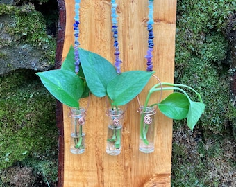 Plant Propagation Station. Hanging vase. Dried flowers. Plant starting. Small bouquets.