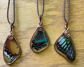 Butterfly Necklace. Real Butterfly Wing