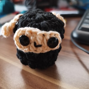 Black sheep