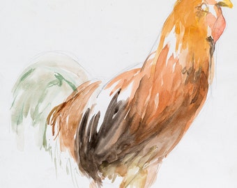 Cockerel