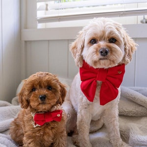 Bow bow plush dog online