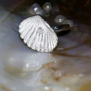 Silber Muschel Ring