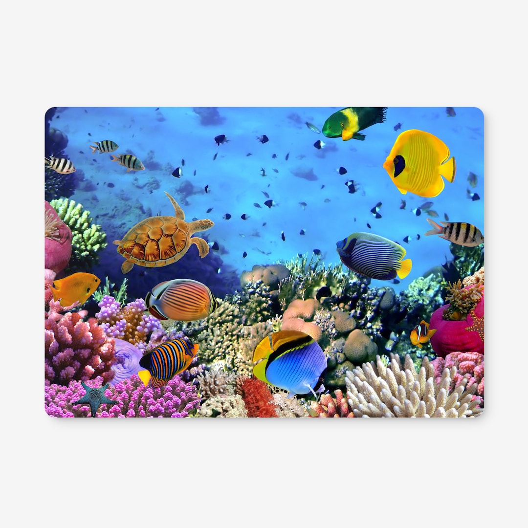 Wooden Cork Placemats Featuring the Australian Coral Reef. Dinner