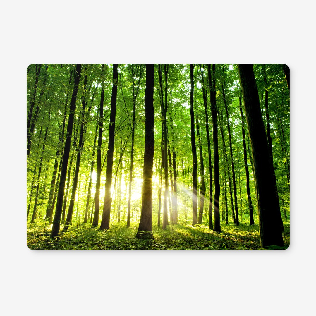 Wooden Cork Placemats Featuring a Beautiful Green English Etsy Canada