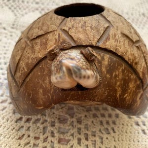 May include: A brown coconut shell carved into the shape of a turtle. The shell features a textured, cross-hatched pattern across the surface and a smooth, light-colored seashell attached to the front to represent the head of the turtle.